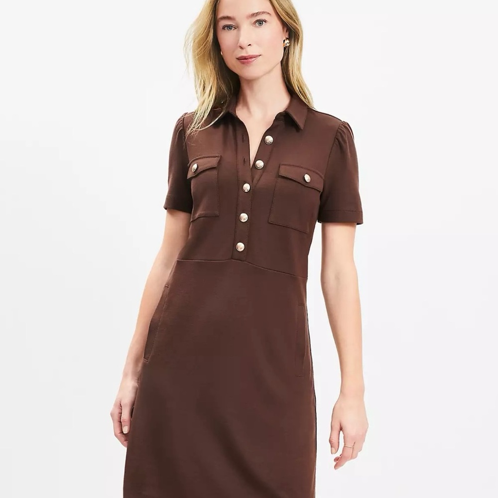 LOFT Chocolate Button-Front Dress